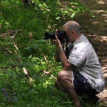 Woodland shoot Nikon D300